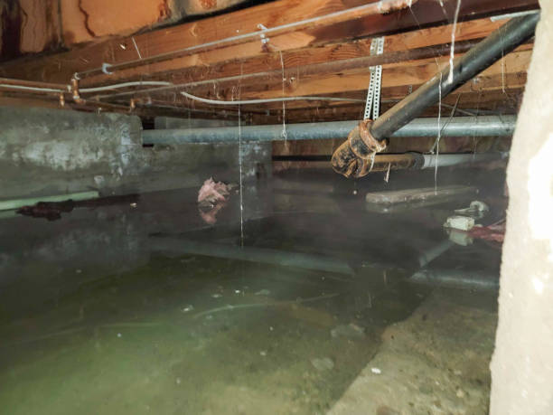 Best Emergency water damage restoration  in Blountstown, FL