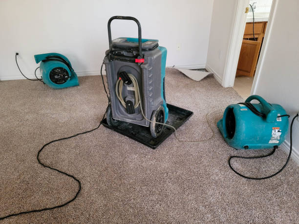 Sewage cleanup and water damage restoration in FL