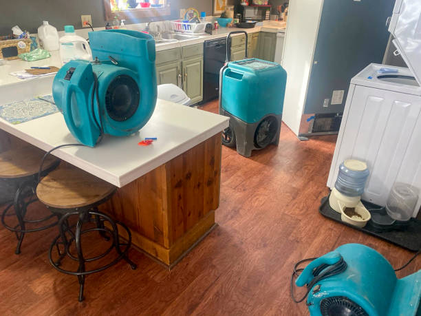 Best Water damage restoration near me  in Blountstown, FL