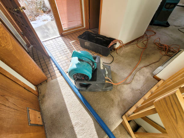 Best Water damage repair service  in Blountstown, FL