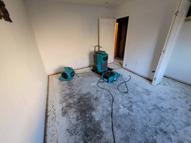 Best Sewage cleanup and water damage restoration  in Blountstown, FL