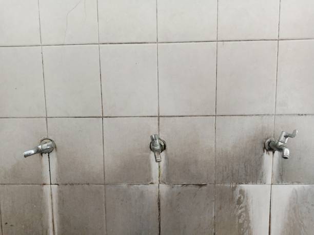 Best Commercial water damage restoration  in Blountstown, FL