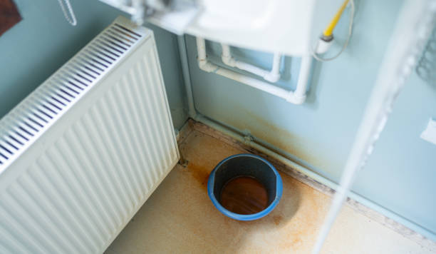 Best Residential water damage restoration  in Blountstown, FL