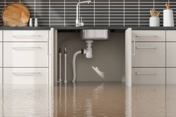 Best Flood restoration services  in Blountstown, FL