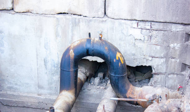 Best 24/7 water damage repair  in Blountstown, FL