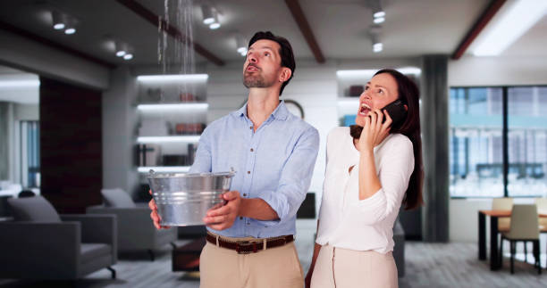 Best Water damage cleanup near me  in Blountstown, FL