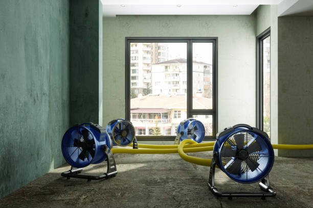Best Water damage restoration company  in Blountstown, FL