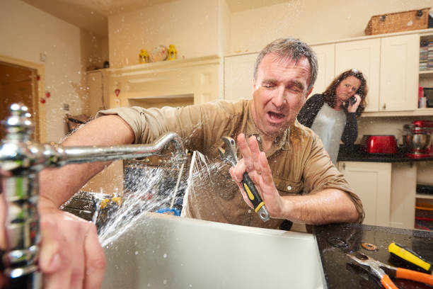 Best Mold removal after water damage  in Blountstown, FL
